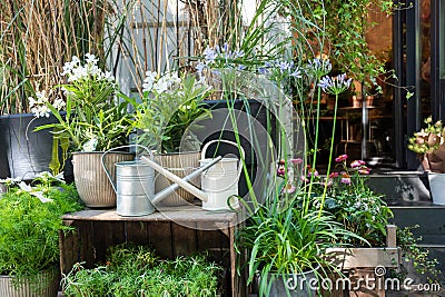 Floral shop with shelves of flowers and garden decorations. Florist shop with plants in pots for sale. Stock Photo