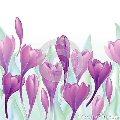 Floral spring background. Flower crocus Stock Photo