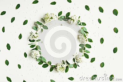 Floral spring background on white. A wreath of greenery. Green leaves and white flowers. Congratulatory background for the holiday Stock Photo