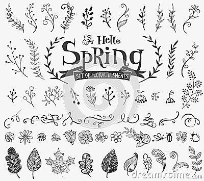 Floral spring design elements in doodle style Vector Illustration