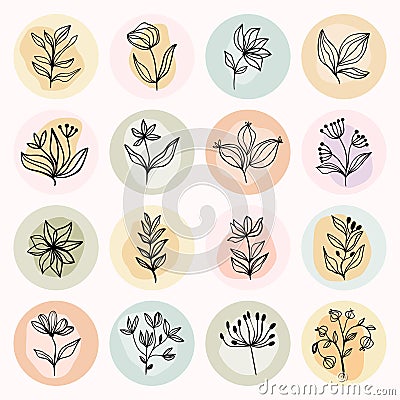 Abstract social media highlight covers with plants Vector Illustration