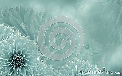 Floral turquoise beautiful background of dahlias. Flower composition with an angel. Stock Photo