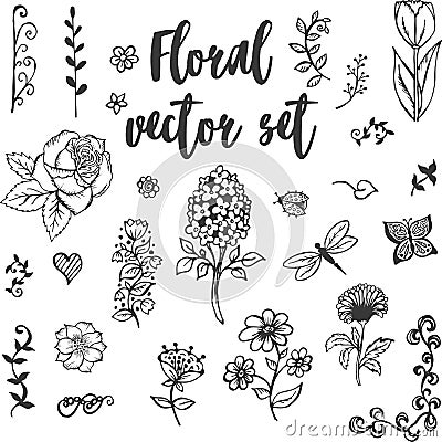 Floral vector set Vector Illustration