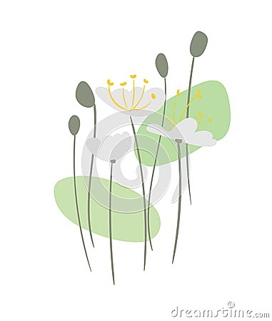 Floral vector stylized design formal composition scandinavian isolated Stock Photo