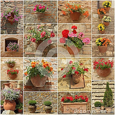 Floral wall Stock Photo