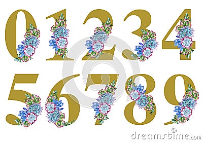 Floral watercolor numbers art on white background Stock Photo