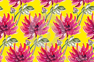 Floral watercolour dahlia. aster, chrysanthemum Stock Photo