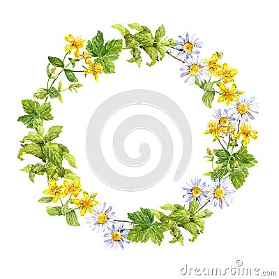 Floral wreath. Herbs, meadow flowers. Watercolor round border Stock Photo