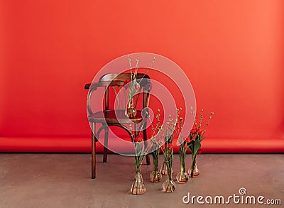 Florar set for interior on red background. Minimalism. Ikibana Stock Photo