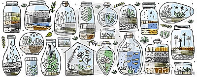Florarium in bottle set with cactuses, succulents, leaves, branches, stones and seashells decoration on sand. Exotic Vector Illustration