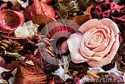 Floreal Background Stock Photo