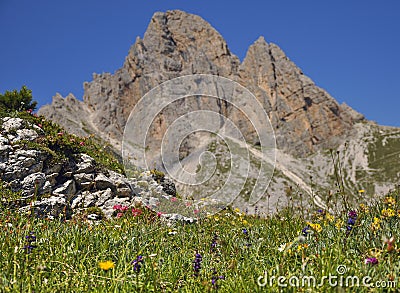 Floreal - Dolomitic Explosion Stock Photo