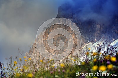 Floreal Explosion on Dolomites Stock Photo