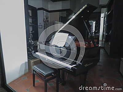 Piano keyboard instrument Editorial Stock Photo