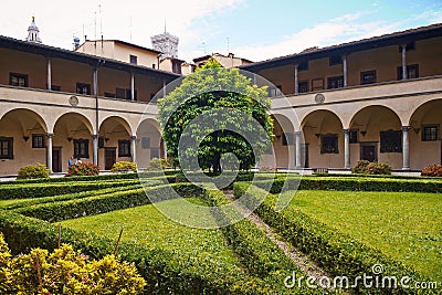 Florence, Italy - May 19, 2014: Tangerine tree in Laurentian library. Editorial Stock Photo