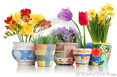 Flores da mola em uns potenci�metros