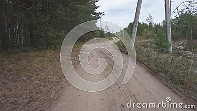 A floresta e a estrada em Finlandia sem estabilizador A floresta e a estrada em Finlandia sem estabilizador