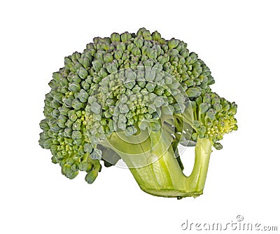 Floret of broccoli isolated against white Stock Photo