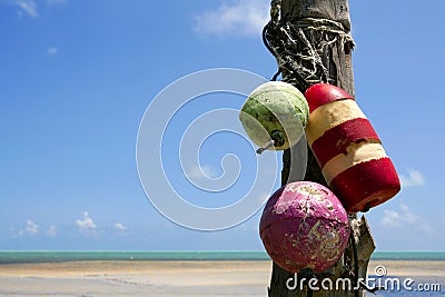 Florida Keys sea view with old fender colorful buo Stock Photo