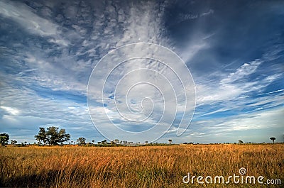 Florida prairie Stock Photo