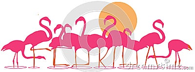 Florida is spelled out in the legs of a flock of flamingos standing in shallow water Cartoon Illustration