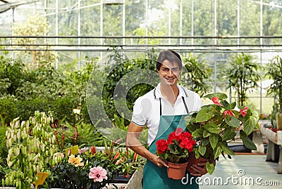 Florist Stock Photo