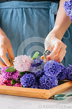 Florist girl gathering bouquet of hyacinth flowers. Flower shop, gift concept. Stock Photo