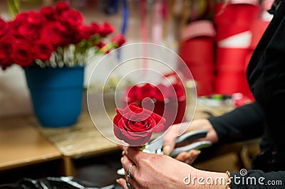 Florist making flower box with red roses on the table Stock Photo