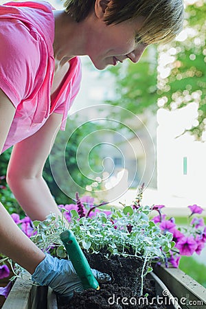 Florist plants flowers in wooden street pot Stock Photo