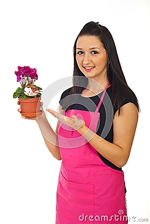 Florist woman offering cyclamen for sale Stock Photo