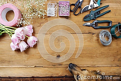 Florist workplace: dog looking at flowers Stock Photo