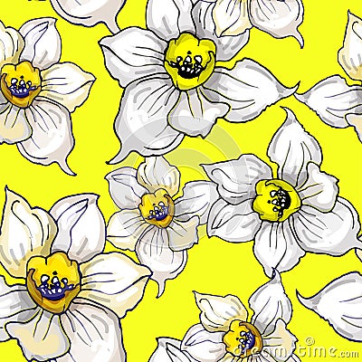 Floristic seamless pattern with flowers of Narcissus, Daffodils, Vector Illustration