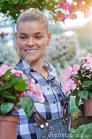 Florists woman working with flowers at a greenhouse. small busineess concept Stock Photo