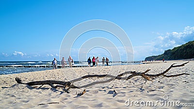 Flotsam and walkers on the beach of Rewal Editorial Stock Photo