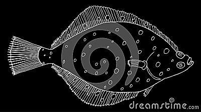 Flounder fish hand drawn. White contour of flatfish on black background. Vector illustration Vector Illustration