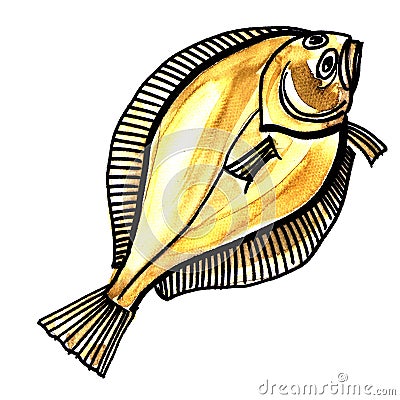 Flounder fish. Isolated on a white background Stock Photo