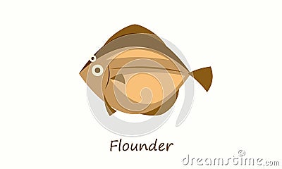 Flounder fish isolated on white. Vector Illustration