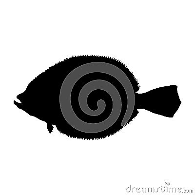 Flounder Fish Paralichthys Silhouette Found In Map Of Northern Atlantic and Pacific Oceans Vector Illustration