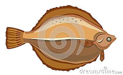 Flounder Fish, Saltwater Creature Emblem for Fishing Club, Seafood Restaurant or Fishery Market. Fish Species Flatfish Vector Illustration