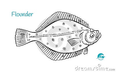 Flounder hand-drawn illustration Vector Illustration