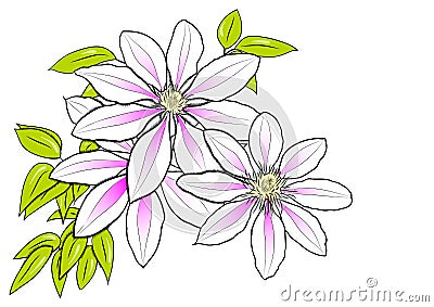 Flower Vector Illustration