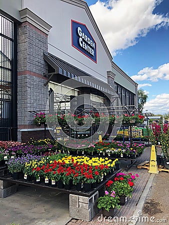 Flowers For Sale At Lowes Garden Center Editorial Stock Photo