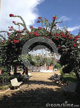 Flower arch in town Editorial Stock Photo