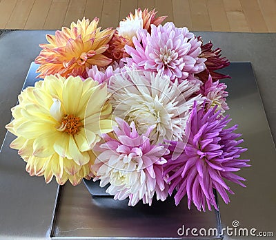 Flower arrangement of an Assortment of Dahlias as decoration on a table with hardwood floor background Stock Photo