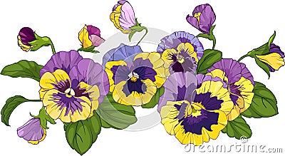Flower arrangement of pansies isolated on a white background. Vector illustration Vector Illustration