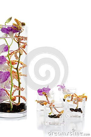 Flower arrangements Stock Photo