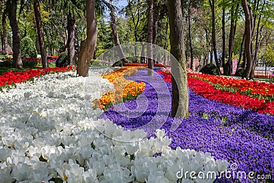 Flower arrangements in the spring park Emirgan at the tulip festival in Istanbul Stock Photo