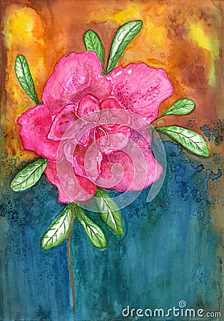 Flower Azalea. Watercolor pink flower on the colourful backgro Cartoon Illustration