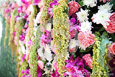 Flower backdrop wedding Stock Photo