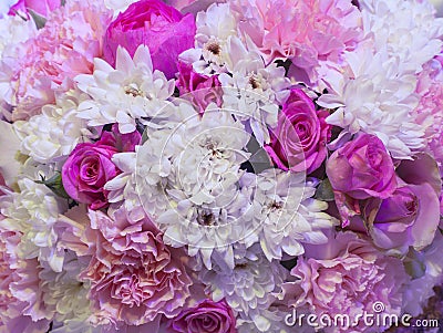 Flower background Stock Photo